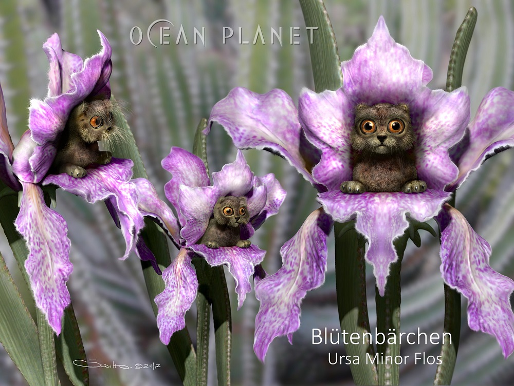 Hiker crossing a rocky stream